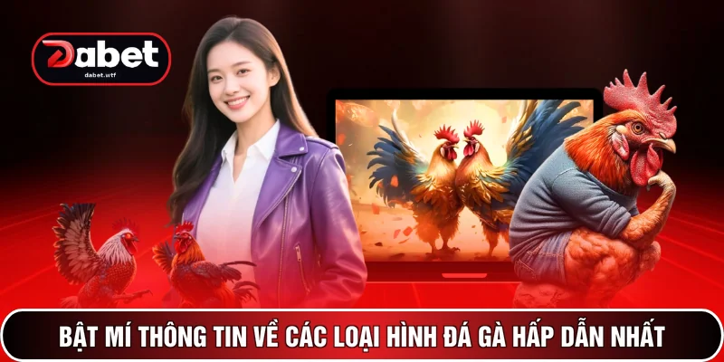 Đá Gà DABET 2 Bật mí thông tin về các loại hình đá gà hấp dẫn nhất