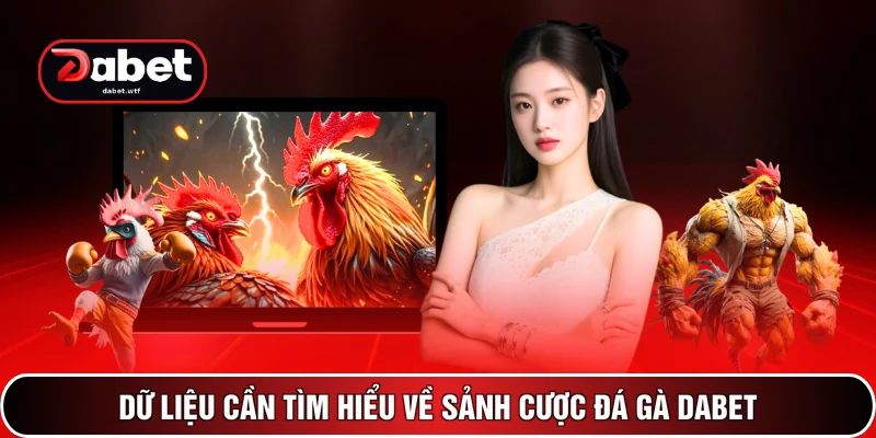 Đá Gà DABET 1 Dữ liệu cần tìm hiểu về sảnh cược đá gà DABET
