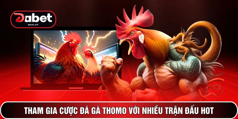 Đá Gà DABET 3 Tham gia cược đá gà Thomo với nhiều trận đấu hot